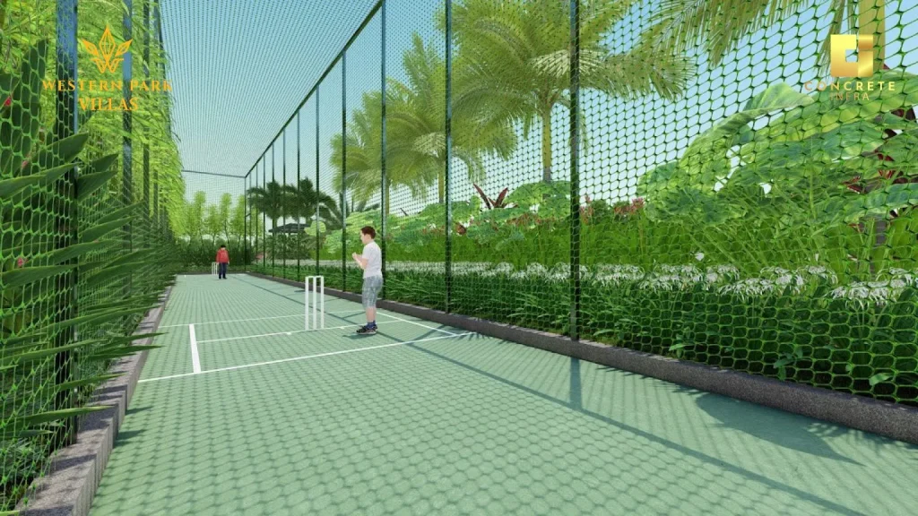 Cricket Net
